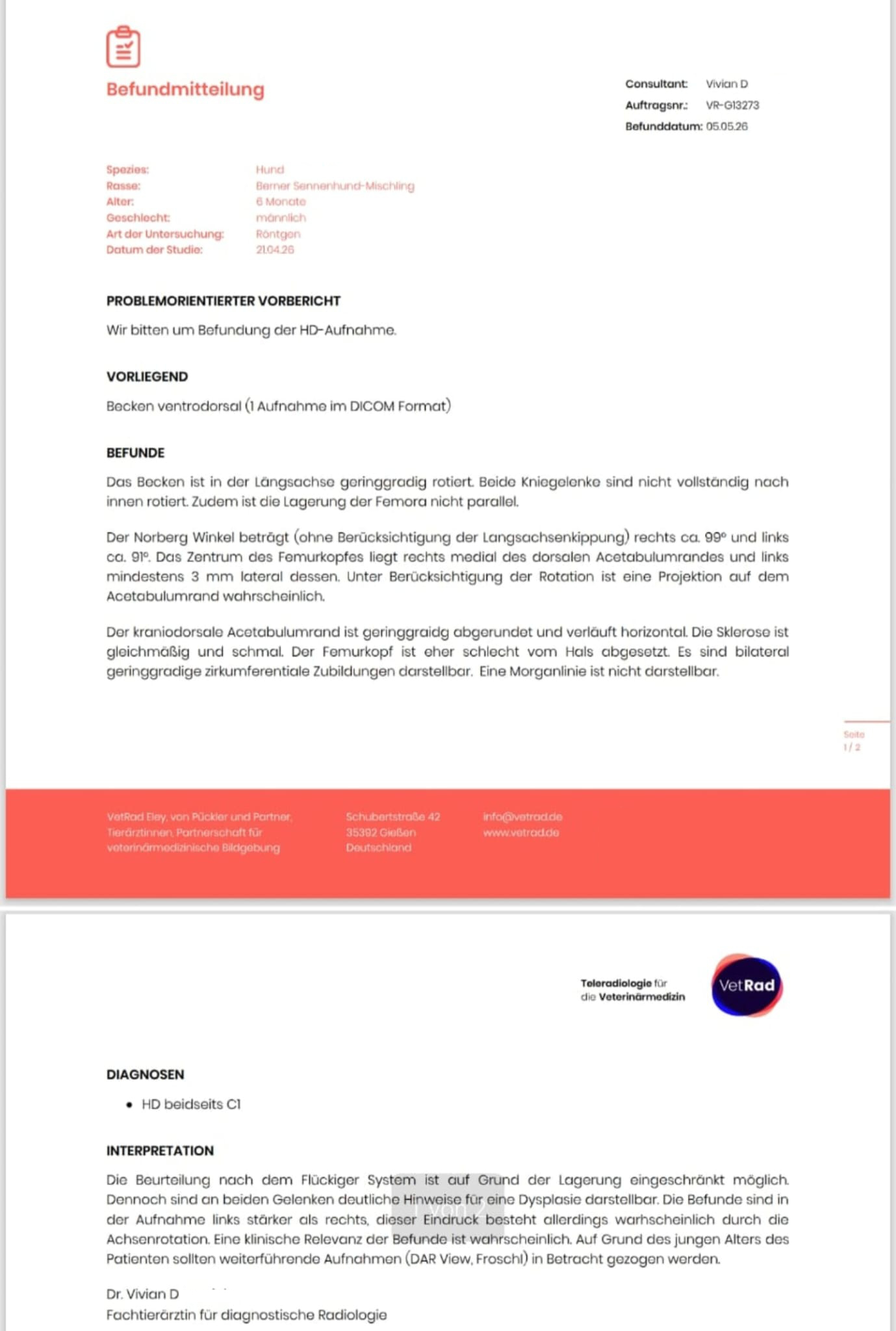 Tierärztlicher Befund der Teleradiologie